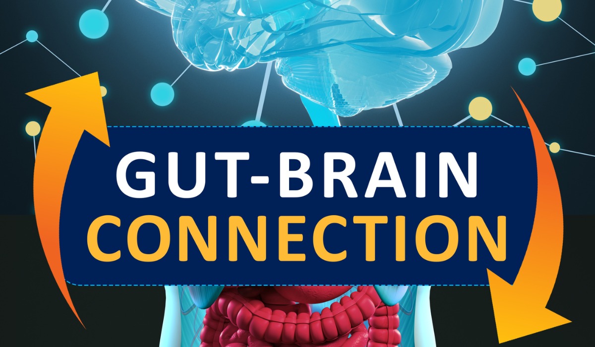 Gut Brain Interconnection